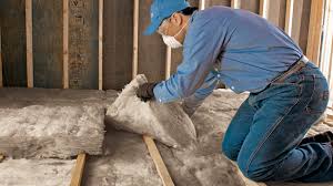 Best Garage Insulation  in Pine Castle, FL