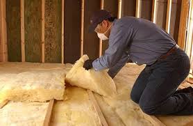 Best Attic Insulation Installation  in Pine Castle, FL